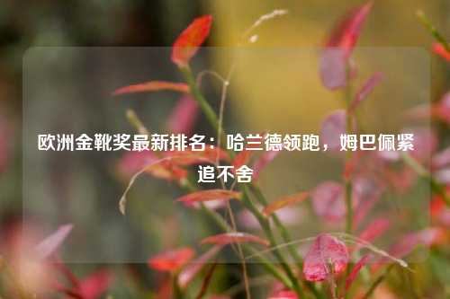 欧洲金靴奖最新排名：哈兰德领跑，姆巴佩紧追不舍