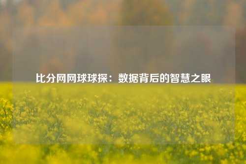 比分网网球球探：数据背后的智慧之眼