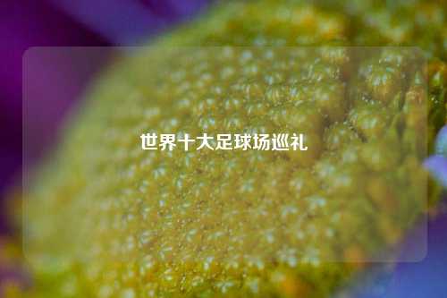 世界十大足球场巡礼
