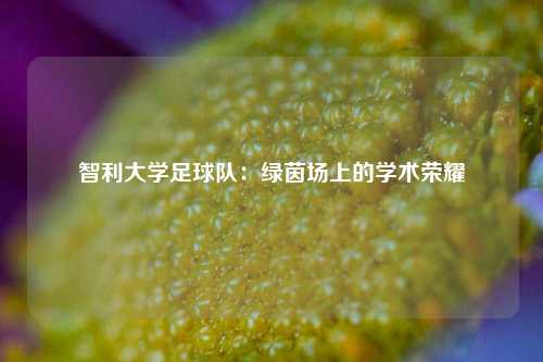 智利大学足球队：绿茵场上的学术荣耀