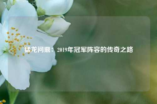 猛龙问鼎:2019年冠军阵容的传奇之路