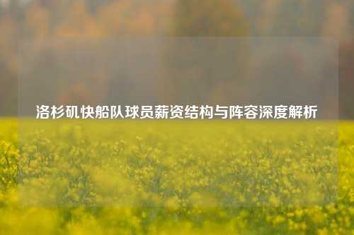 洛杉矶快船队球员薪资结构与阵容深度解析