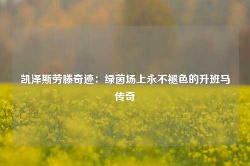 凯泽斯劳滕奇迹：绿茵场上永不褪色的升班马传奇