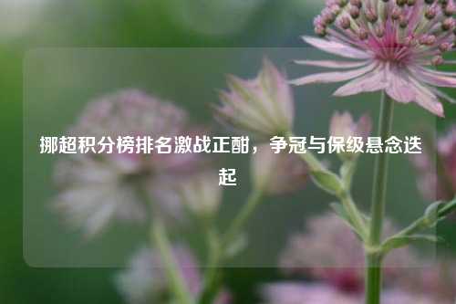 挪超积分榜排名激战正酣,争冠与保级悬念迭起