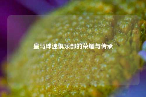 皇马球迷俱乐部的荣耀与传承