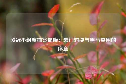 欧冠小组赛抽签揭晓：豪门对决与黑马突围的序章