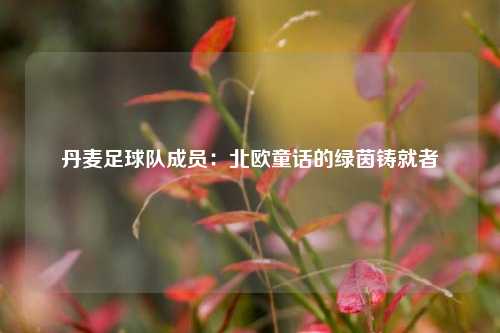 丹麦足球队成员:北欧童话的绿茵铸就者