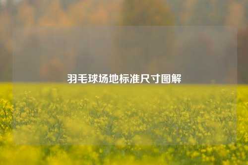 羽毛球场地标准尺寸图解